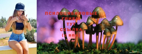 тгк Абаза