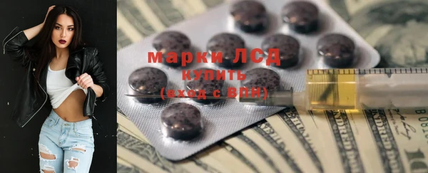 крисы Алзамай