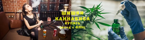 тгк Абаза