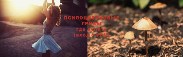 тгк Абаза