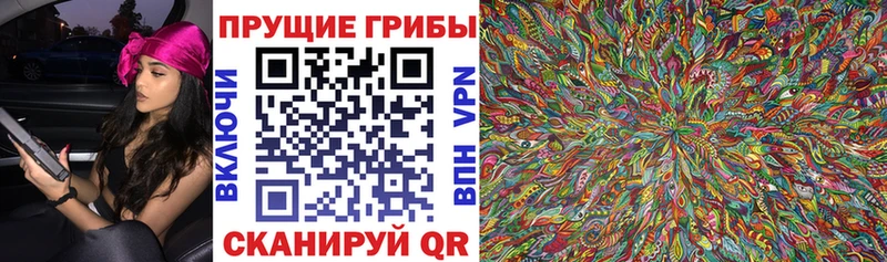 как найти наркотики  Торопец  Псилоцибиновые грибы Psilocybine cubensis 